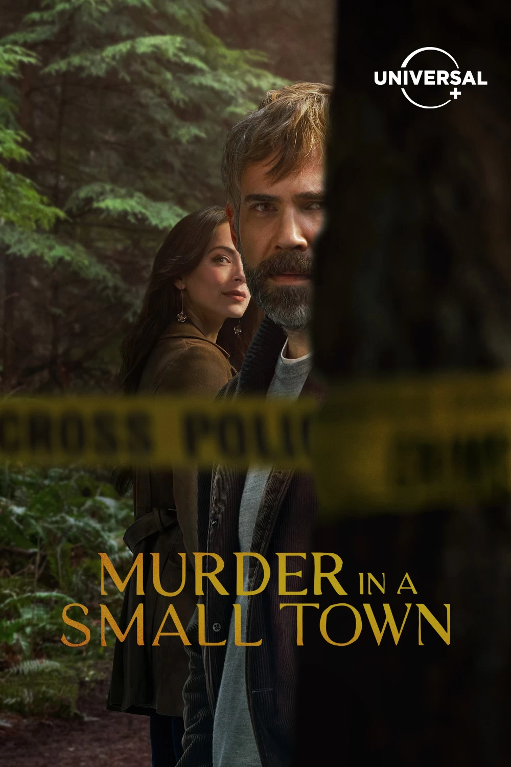 Murder in a Small Town